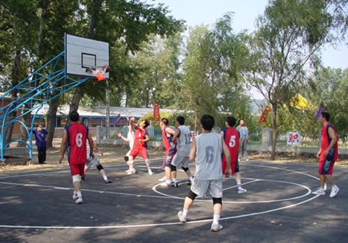 5c34186ac61ff.jpg 2.jpg